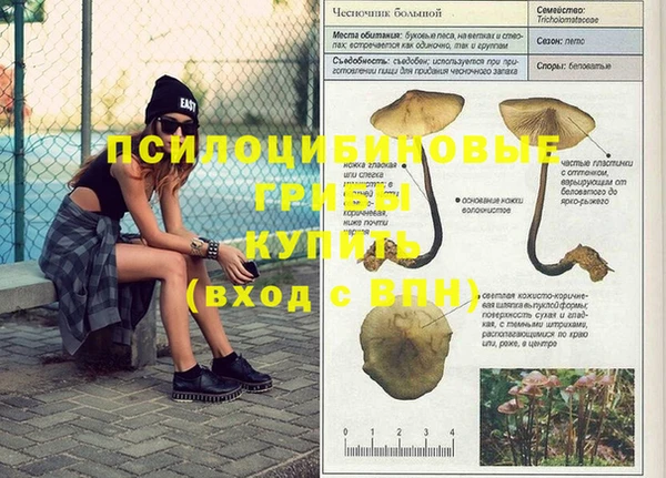 твердый Алексин